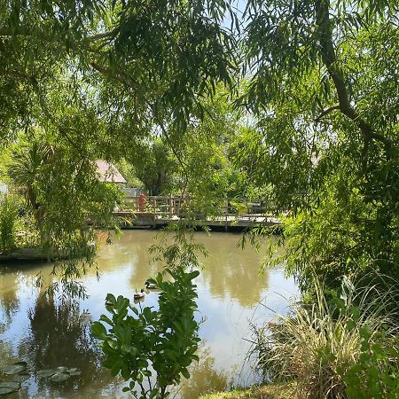Reynolds Farm Guesthouse Canterbury Bagian luar foto