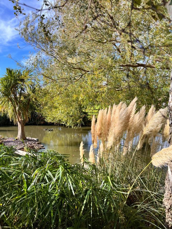 Reynolds Farm Guesthouse Canterbury Bagian luar foto